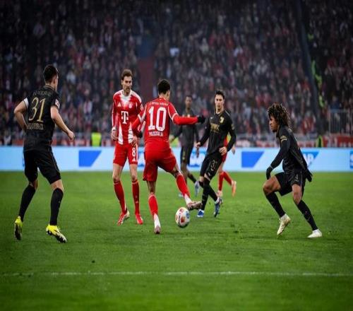 中国,年担任上海,合作组织轮,巅峰国际,巅峰国际官方网站,巅峰国际平台