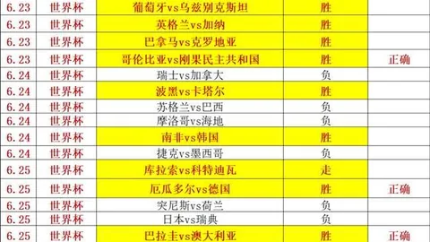 巅峰国际 063335 3